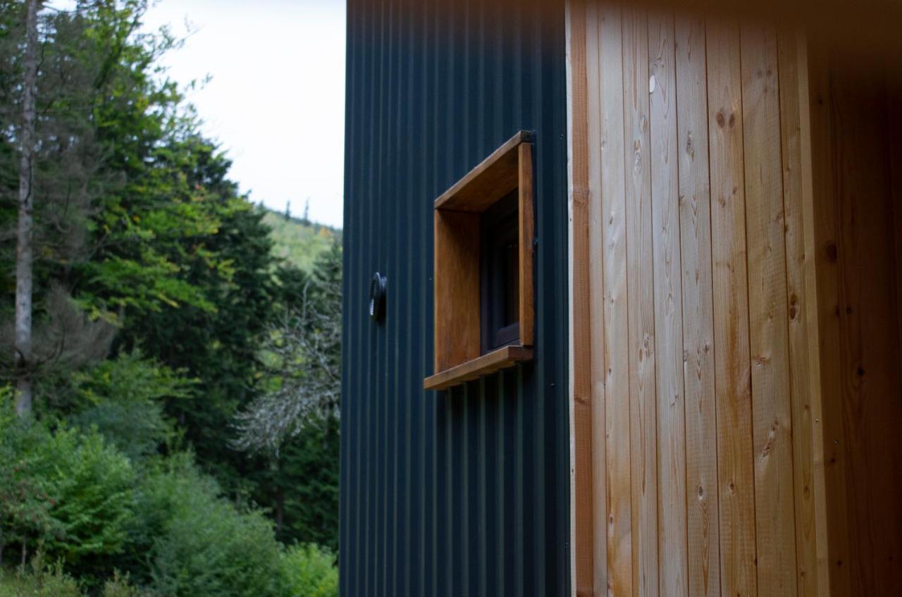 Villa Panorama / Tinyhouse Podbrezova Exterior foto